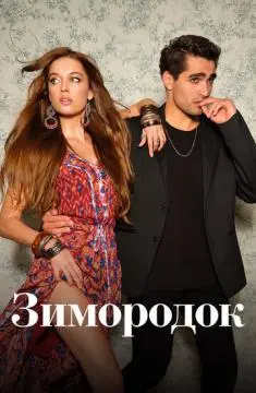 Зимородок#